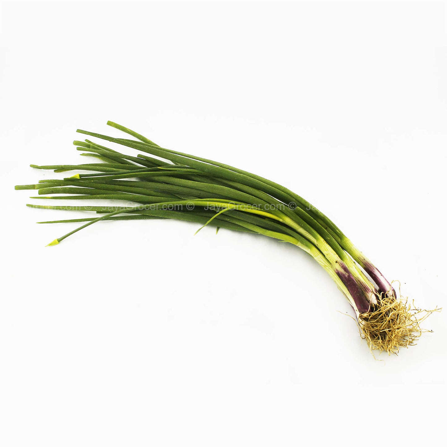 Spring Onion (Daun Bawang) (Malaysia) 80g