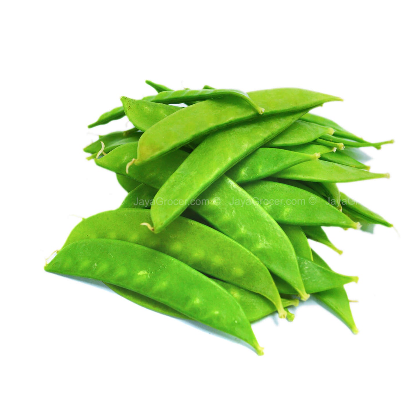 Holland Bean (Snow Pea) (China) 130g