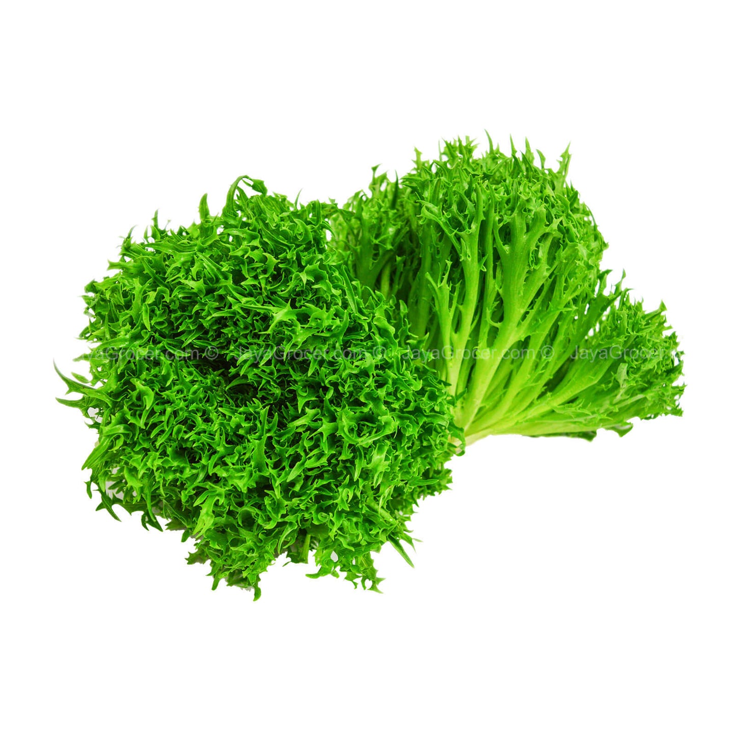 Genting Garden Curly Crisp Lettuce (Malaysia) 180g