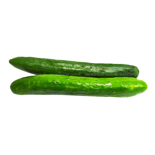 Paprika Farm Japanese Cucumber (Kyuri) 330g