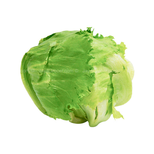 Genting Garden Iceberg Lettuce (Malaysia) 1pack