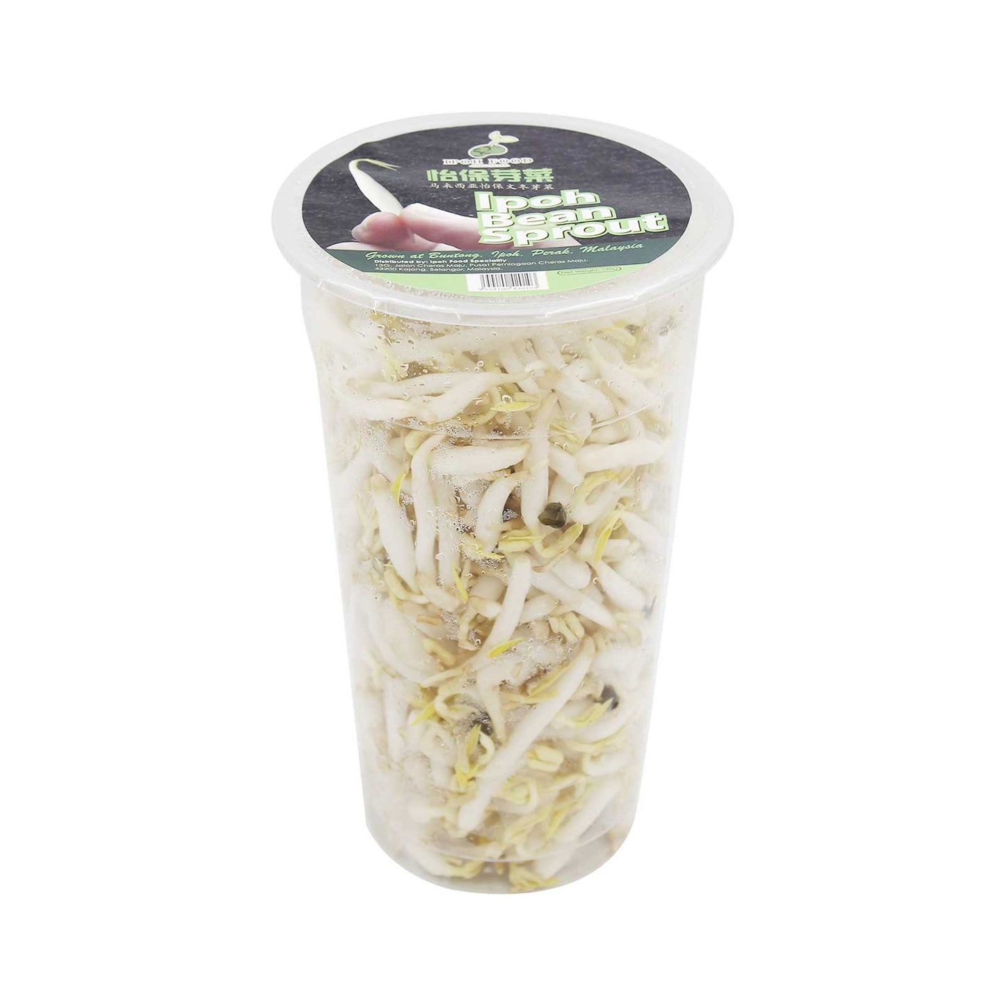 Ipoh Bean Sprout in Cup (Malaysia) 190g