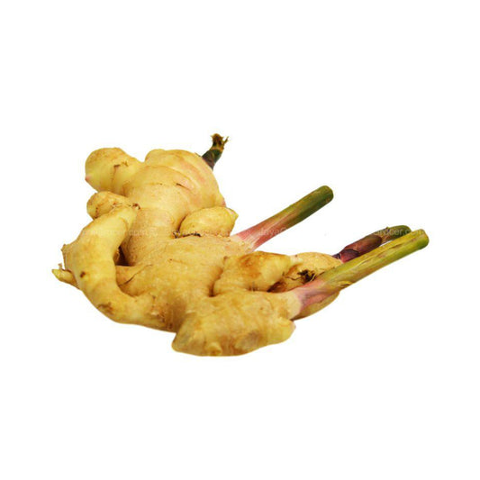 Young Ginger (Halia Muda) (Thailand) 200g