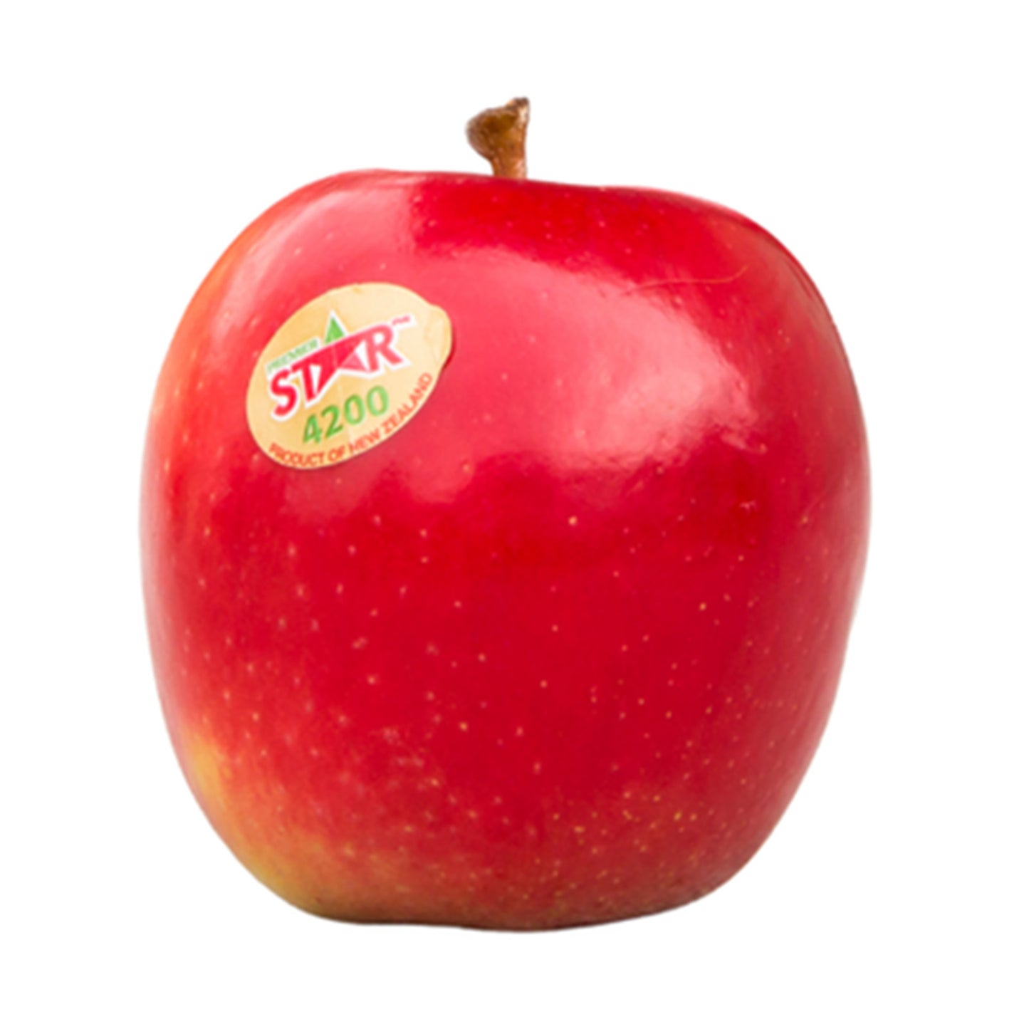 Premier Star Apple (New Zealand)