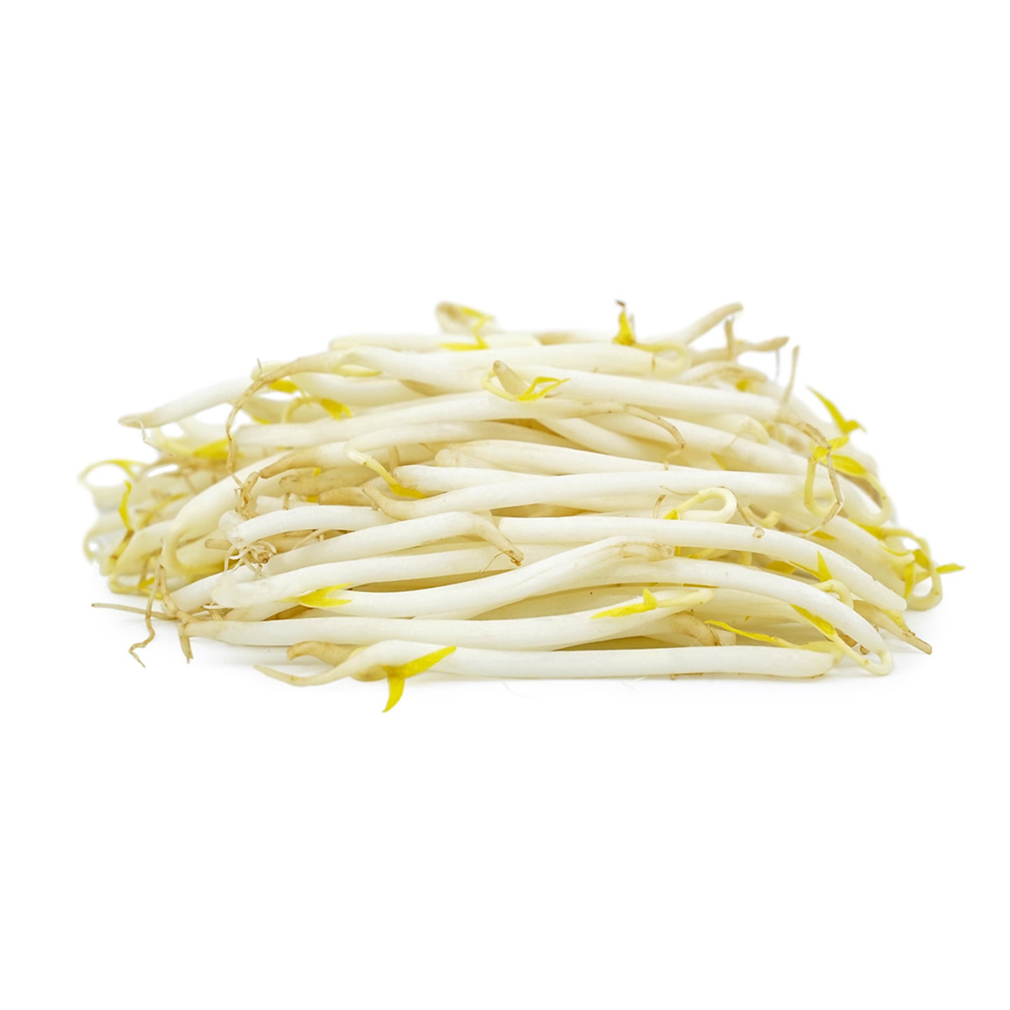 Bean Sprout/Taugeh (Mixed Grade) (Malaysia) 1kg